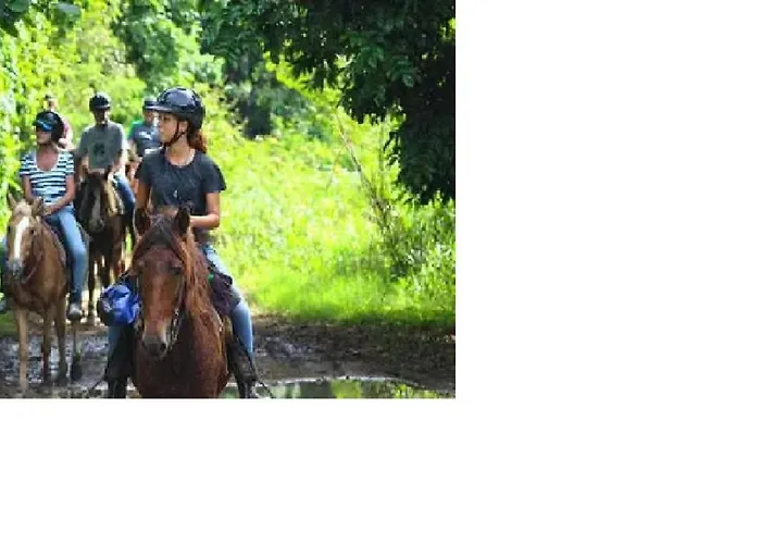 Playa De Ris Lägenhet Noja